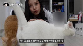 조민, 반려묘 동영상에 “조국 손만 봐도 감사”…왜?