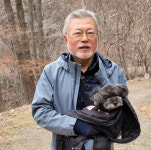 반려견 `토리` 소식 전한 문재인 전 대통령…편한 모습으로 떠났다