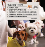펫블루베이션 | 블루오션이라는데 가입률 1%… 펫보험 비교 `동상이몽`