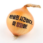 ‘보수 단일화’ 압박하는 장예찬, ‘양파 사진’ 응수한 정연욱…갈등 폭발?