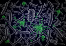 `부어라 마셔라`…알고 보니 장내 미생물의 조화?