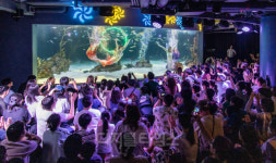 [포토] 인어공주 안녕…아쿠아플라넷63 폐관