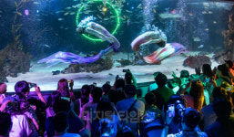 [포토] 아쿠아플라넷63 마지막 날, 인어공주 공연에 몰린 인파