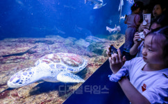 [포토] 굿바이 아쿠아플라넷63