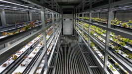 에이바이오머티리얼즈, 식물 유래 엑소좀으로 글로벌 메디컬 스킨부스터 시장 공략