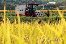 미곡처리장 찾은 농식품 장관…쌀값 안정조치 적극 검토