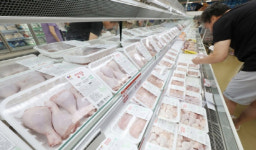 `국민간식` 치킨 값 더 오르나…브라질산 닭고기 수급불안 장기화