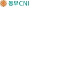 [IT서비스 융합시대]업체별전략-동부CNI