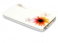 여성을 위한 외장HDD, 새로텍 위즈플랫 W-21