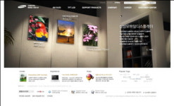 디지털오아시스, 삼성모바일디스플레이 홈피 구축