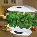 친환경 식물재배기 인기 `쑥쑥`