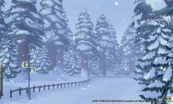 감성 자극하는 설매견 스토리 허스키익스프레스