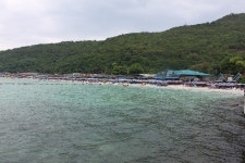 [동행취재기] 차이나타운에서 만난 살아있는 태국