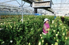 부농 꿈 `u화훼농장` 으로 꽃피워요