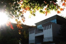 [Industry Review]주요대학- 세계사이버대학