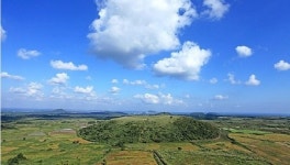 올 겨울엔 철새 보러 생태관광지로 떠나볼까