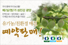제철 맞은 매실로 여름 건강 챙긴다
