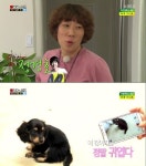 정경호, 유기동물 애착이유는 애완견 호영이?