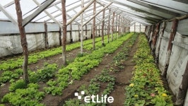 [허여사의 여행칼럼] 지구촌 땅끝마을 아르헨티나 우수아이아