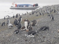 [허여사의 여행칼럼] 지구촌 땅끝마을 아르헨티나 우수아이아