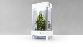 스마트폰으로 키우는 ‘개인용 식물공장’