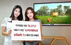 올레tv, 도그TV와 스카이펫파크 채널 런칭