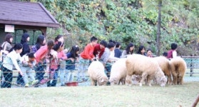 다문화 아동 찾아 릴레이봉사 나선 한화케미칼