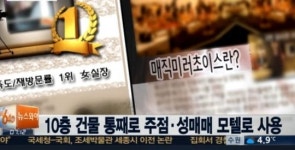 기업형 성매매 업소 적발, 강남 10층 건물 통째로 풀살롱…경악