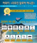 하와이 신혼여행, 고급 혜택에 자유일정으로 더 특별하게