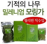 밀레니엄 모링가 침출차, 1+1로 이벤트로 대중화에 나서...