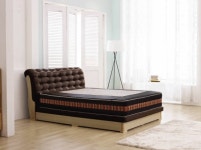 솔고바이오, 솔고온침대 온열매트리스 출시