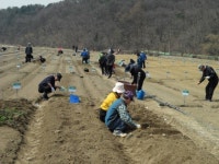 [우리 아빠 주말 짱]도심 속 푸른 먹거리 `미리 준비해요`