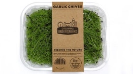 지하 10m에 조성된 환경 친화적 농장