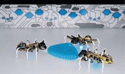 이 협업 로봇개미가 사람일손 대신한다