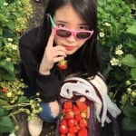 아이유, 딸기밭에 앉아서 선글라스 끼고 셀카 삼매경 다 땄어요 상큼신디