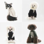강아지옷에도 트렌드가 있다! 독창적인 디자인 선보이는 DASOM(다솜)