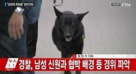 전국 공항에 폭발물 협박, 국제전화 통해 협박 경계태세 강화 “모두 죽을 것”