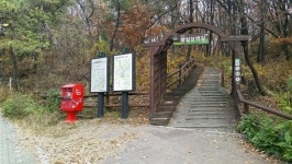 서울 둘레길 코스, 가장 인기 좋은 코스 봤더니...소나무숲길