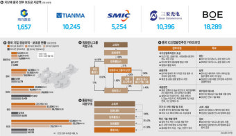[이슈분석]중국 보조금 논란…경상이익 대비 보조금 비율 최고 50% 차지