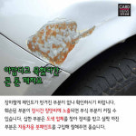 [카드뉴스]사고 치기 전에, 차 고쳐라