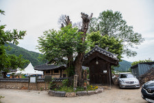 강원도 영월군, 200년 전통 ‘조견당’ 문화재 지정 해제 추진···고택협 강력 반발
