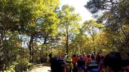 지리산 회남재 숲길 걸으며 가을정취 느껴요