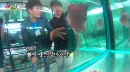 워터독 강아지 같이 주인을 따르는 물고기 몸 값만 몇백?