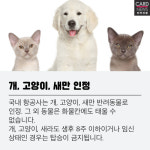 해외여행, 반려동물과 함께가요
