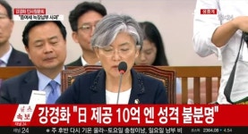 강창일 의원 ,위안부 협의, 절차과정 아주 잘못됐다면서 본인의 주장에 주력?