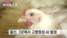 고병원성 AI 영남권도 확산...AI확인 농장 27곳 중 고병원성이 11곳