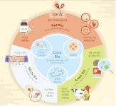 올해 유전자가위·줄기세포 최고 유망기술..혁신적 규제 개선 관건