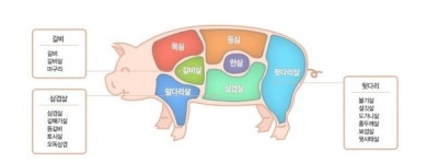3월 3일 삼겹살데이, 부위별 칼로리는? 가장 기름기 적은 부위는..