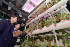 농업+ICT 애그리테크...새로운 IT전쟁 시작된다