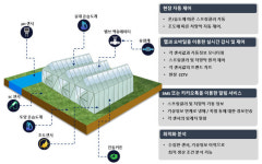 넥스트스퀘어, 태양광이모작 스마트팜 단지 진천에 조성